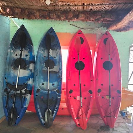 Go Inn Backpackers Aswan Eksteriør billede