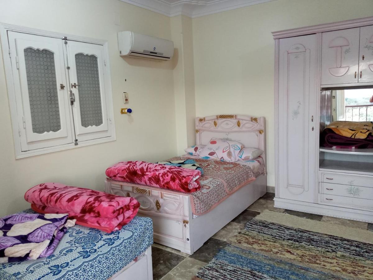 Go Inn Backpackers Aswan Eksteriør billede