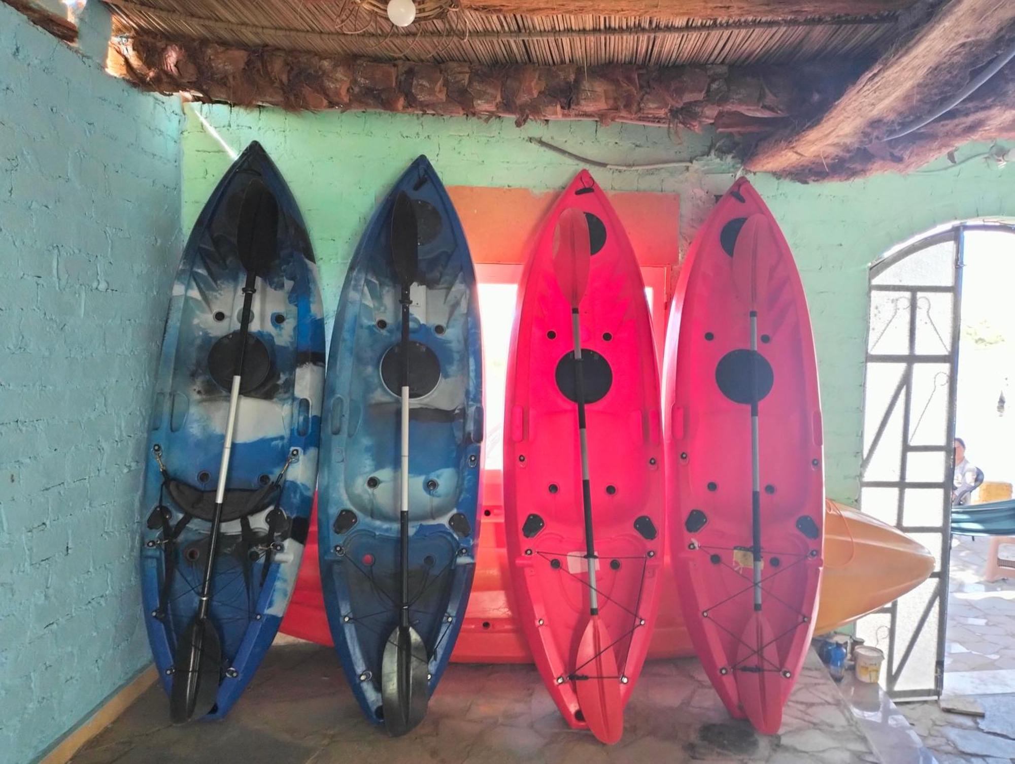 Go Inn Backpackers Aswan Eksteriør billede